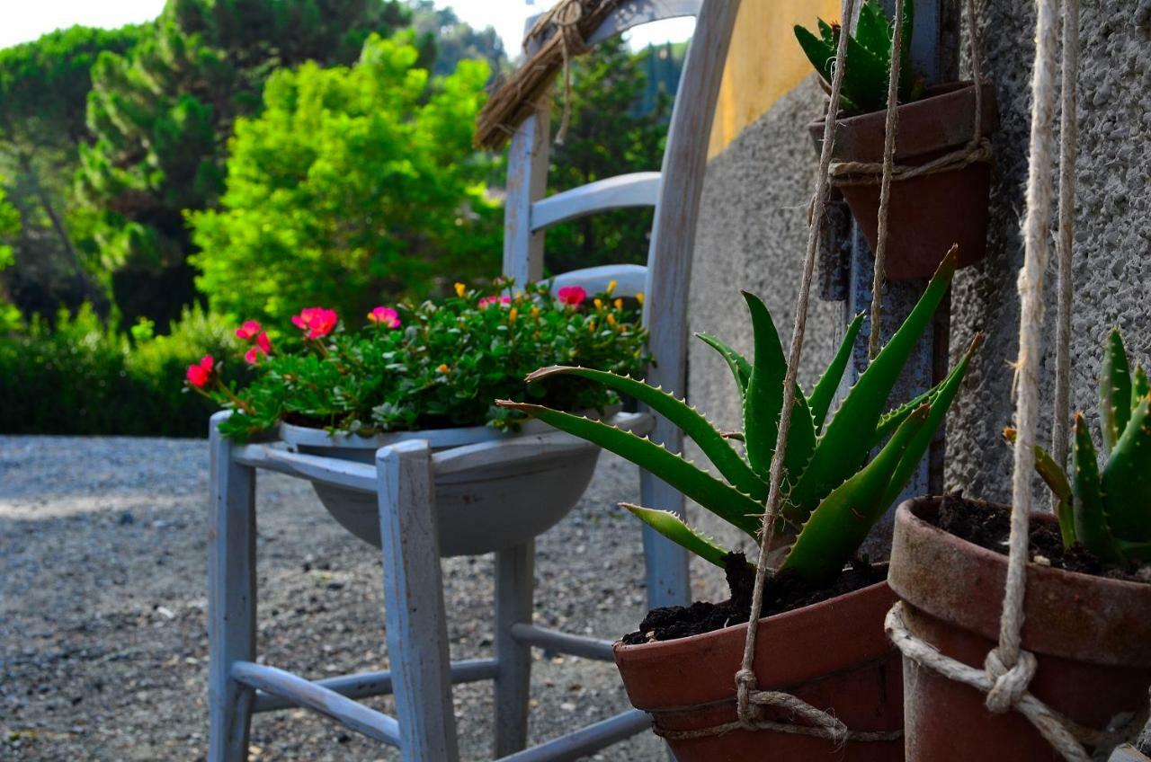 Casa Vacanze "L'Aione" Gambassi Terme Extérieur photo